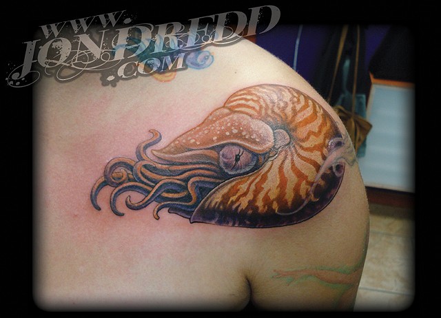 crucial tattoo studio salisbury maryland tattoos jonathan kellogg jon dredd nautilus sea shell tentacles tattoo delaware ocean city