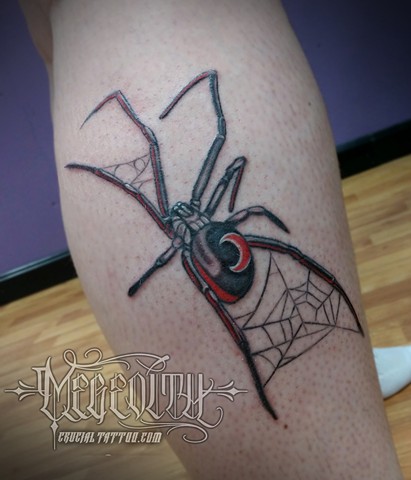 widow web