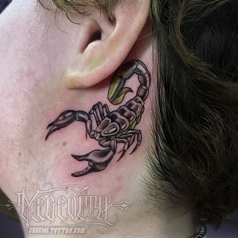 scorpion ear