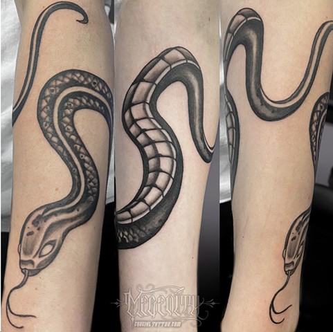 snake coil