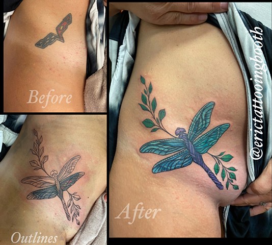 dragonfly coverup