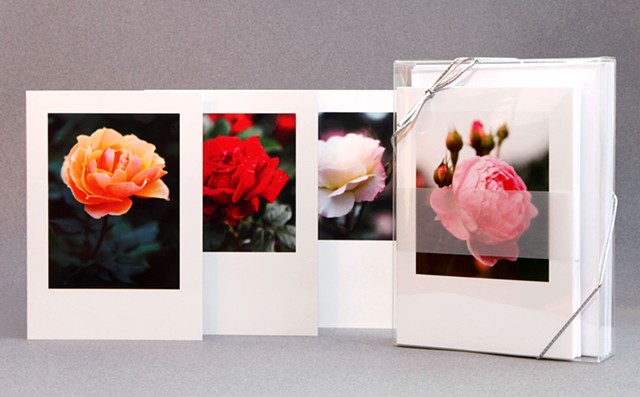 Selections From The National Rose Garden Notecards