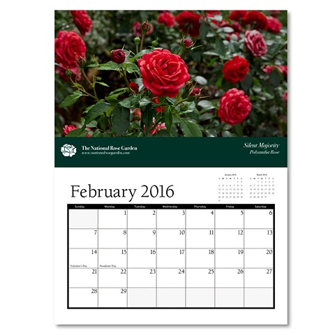 2016 National Rose Garden Election Year Calendar (detail)