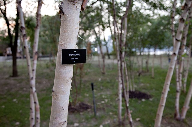 Individual (solus homo)

Selections From The Modern Landscape (installation view)
Socrates Sculpture Park