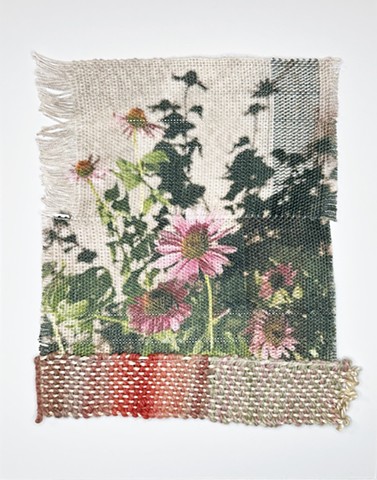 The Feelings of Flowers no.2