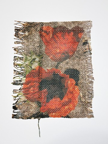 The Way Poppies Remember