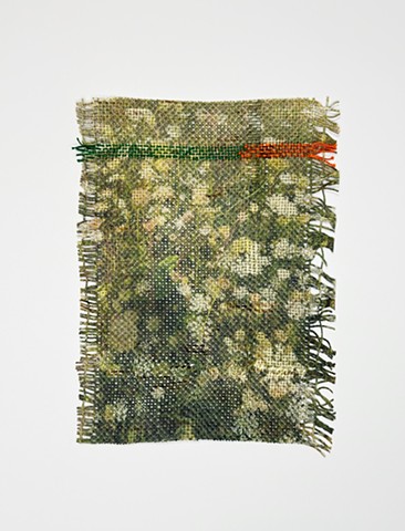 Anne’s Lace no.1
