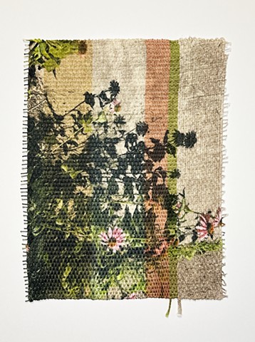 The Feelings of Flowers no.1