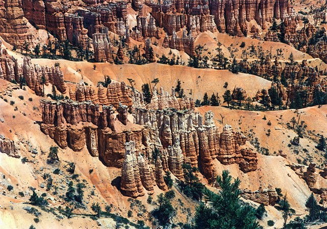 Bryce Canyon Hoodoos 
