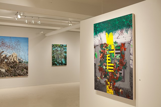 installation view, Peter Buckland Gallery 2015