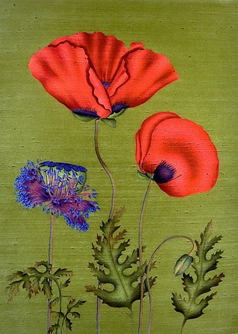 Poppies With Pod