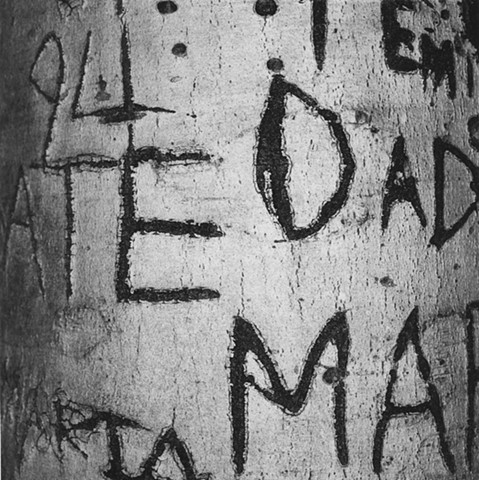 Engraved Beech Bark, No. 82, Bellbrook, Ohio