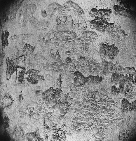 Engraved Beech Bark, No. 74, Germantown, Ohio
