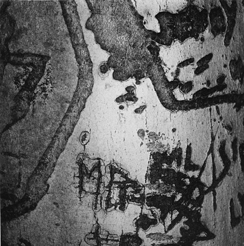 Engraved Beech Bark, No. 801, Bellbrook, Ohio