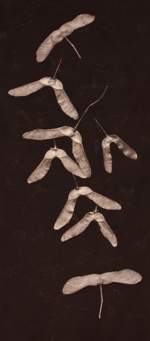 Vandyke Brown Print, a historical and alternative photographic process from a scanned object