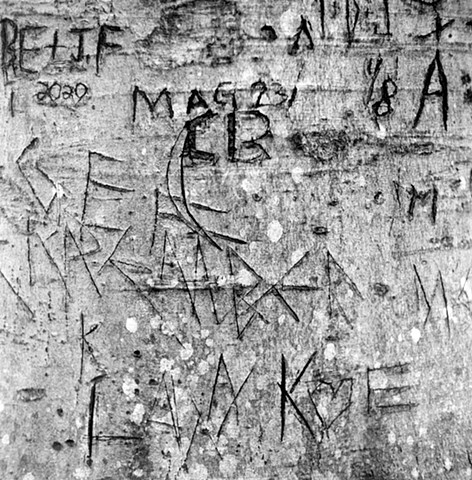 Engraved Beech Bark, No. 3, Bill Yeck park