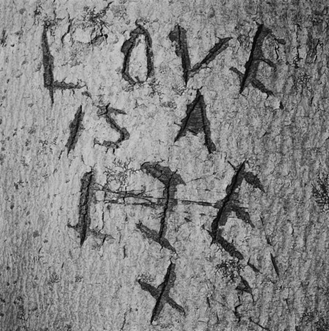 Love is a Lie, Bill Yeck park