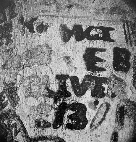 Engraved Beech Bark, No. 3, Bellbrook, Ohio