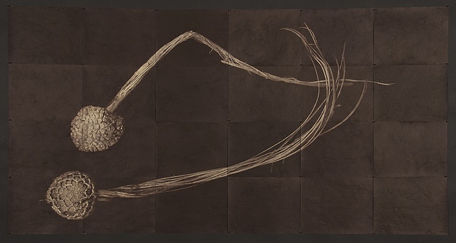 Vandyke Brown Prints, a historical and alternative photographic process from a scanned object