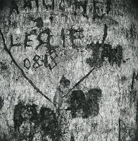 Engraved Beech Bark, No. 921, Frytown, Ohio