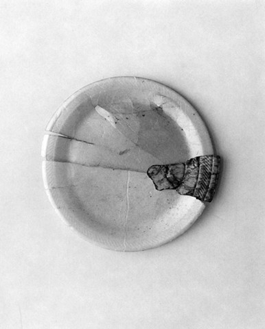 Nine Inch Plate From Found Fragments