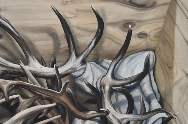 Elk Horns 4000. (detail)