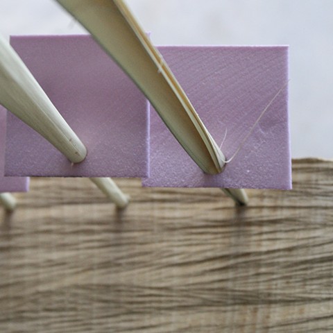 Palm Edge