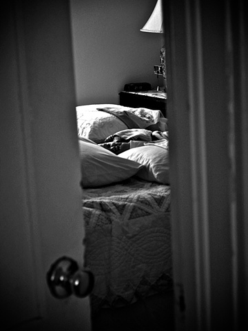 M. Moore, Meghan Moore, M. Moore Photography