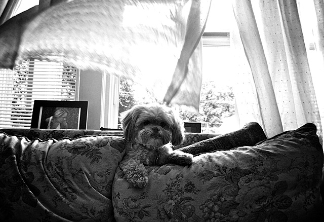 M. Moore, Meghan Moore, M. Moore Photography