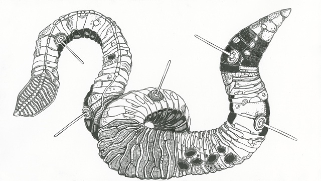 meghan nelson, art, pen and ink, whimsical, worm, with tiny plungers,