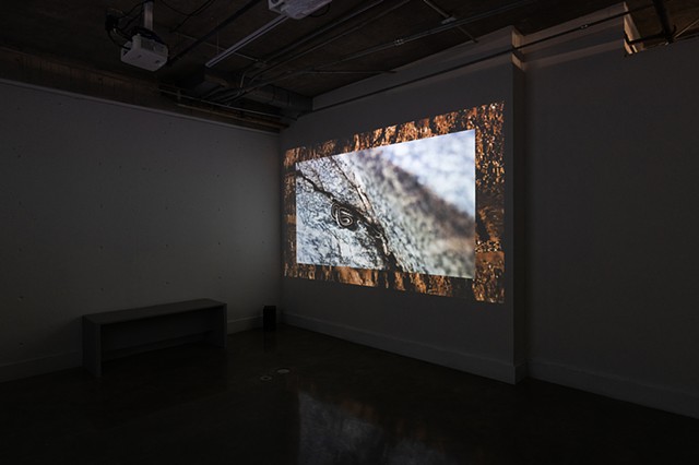 Dry Spell (Installation View at MOCA Tucson)