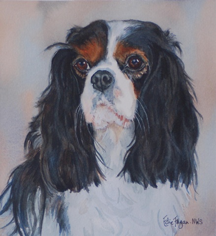 Edie Fagan Adored Dogs watercolor portrait of dog watercolor painting of Cavalier King Charles Spaniel tricolor dog