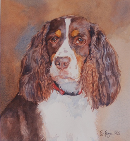 Edie Fagan Adored Dogs watercolor portrait of dog watercolor painting of English springer spaniel dog