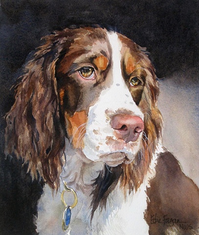 Edie Fagan Adored Dogs watercolor portrait of dog watercolor painting of English springer spaniel dog 