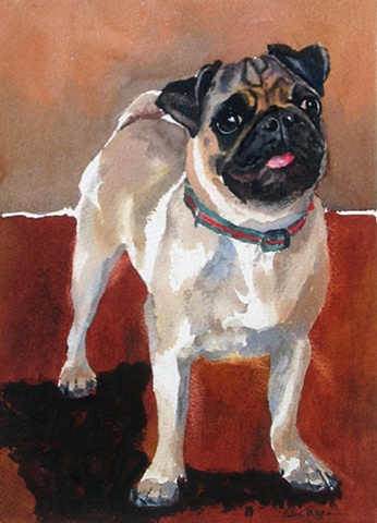watercolor dog portrait by Edie Fagan Adored Dogs watercolor painting of dog watercolor painting of pug dog