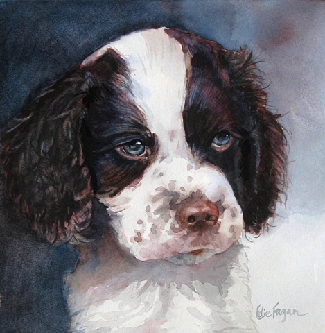 Edie Fagan Adored Dogs watercolor painting of dog watercolor painting of English springer spaniel puppy dog
