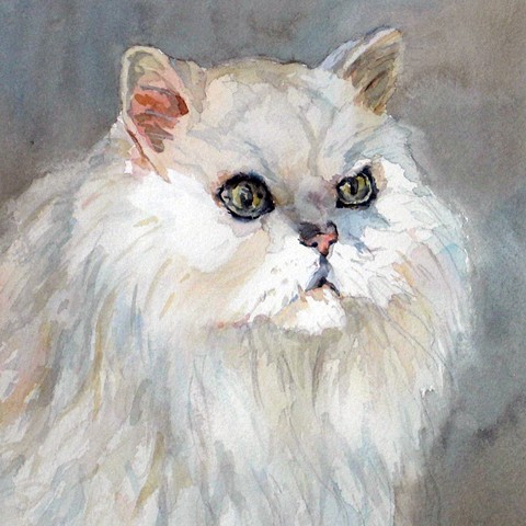 watercolor painting of Persian cat by Edie Fagan