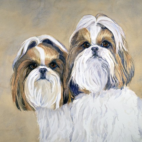 Two Shih Tzu watercolor painting by Edie Fagan pair of dogs portrait adored dogs