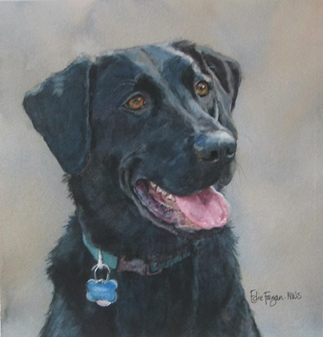 Edie Fagan Adored Dogs watercolor portrait of dog watercolor painting of black Labrador retriever dog