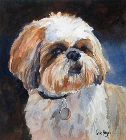 Edie Fagan Adored Dogs watercolor portrait of dog watercolor painting of shih tzu dog