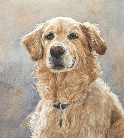 watercolor painting by Edie Fagan of Golden Retriever.  dog portrait, dog painting