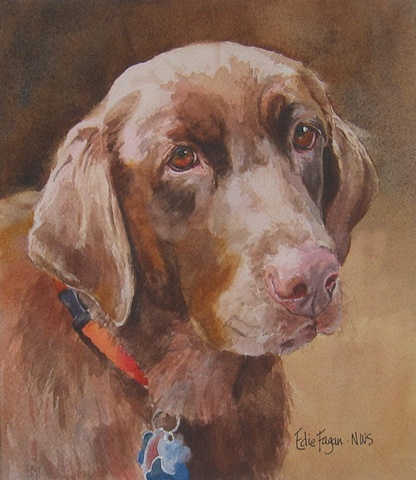 Edie Fagan Adored Dogs watercolor painting of dog watercolor painting of chocolate Labrador retriever dog brown Lab