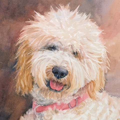 Goldendoodle watercolor painting dog portrait by Edie Fagan