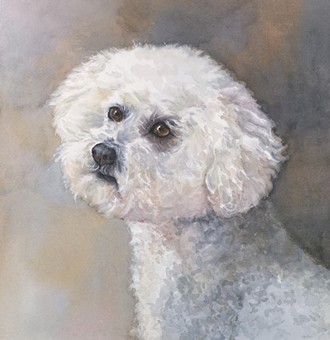 White poodle bichon painting by Edie Fagan Adored Dogs