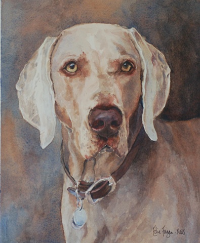 Edie Fagan Adored Dogs watercolor portrait of dog watercolor painting of Weimaraner dog 