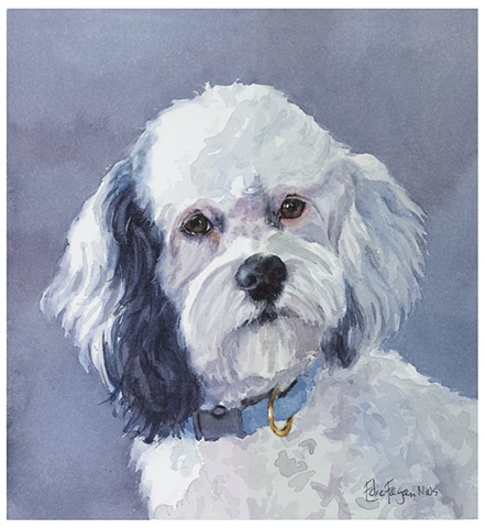 watercolor dog portrait by Edie Fagan Adored Dogs watercolor painting of dog Watercolor painting of Cockapoo mix dog