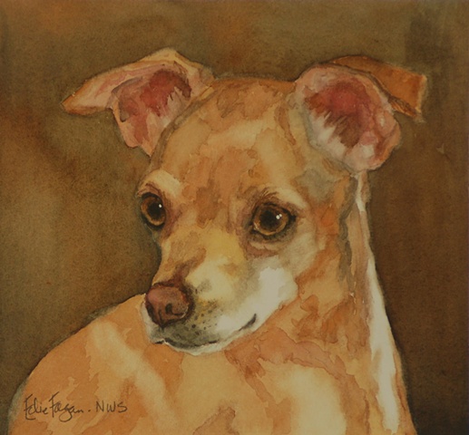 Edie Fagan Adored Dogs watercolor portrait of dog watercolor painting of chihuahua dog