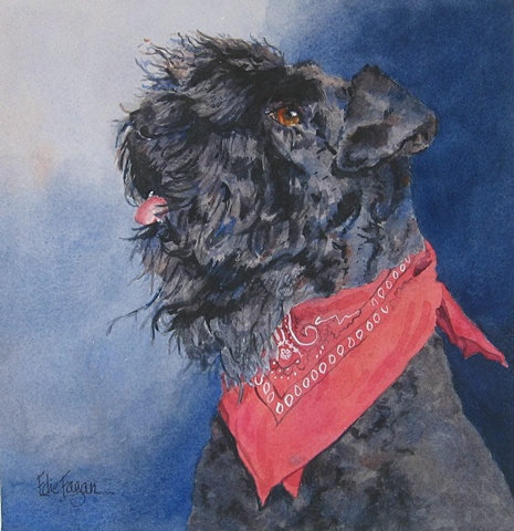 Edie Fagan Adored Dogs watercolor portrait of dog watercolor painting of Kerry Blue Terrier show dog therapy