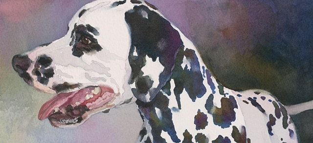 Edie Fagan Adored Dogs watercolor portrait of dog watercolor painting of dalmatian dog