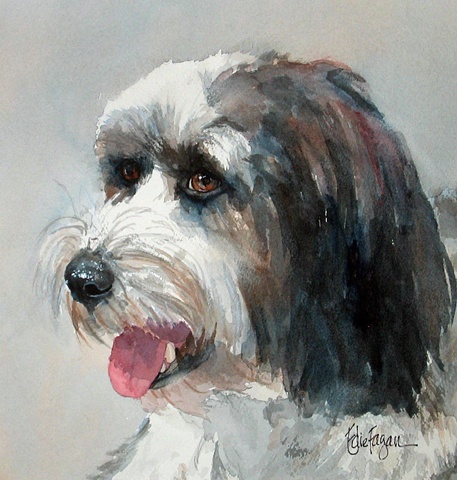 Edie Fagan Adored Dogs watercolor portrait of dog watercolor painting of Tibetan Terrier dog Havanese